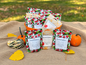 No-Sugar-Added Halloween Treat Mix 24 Pack